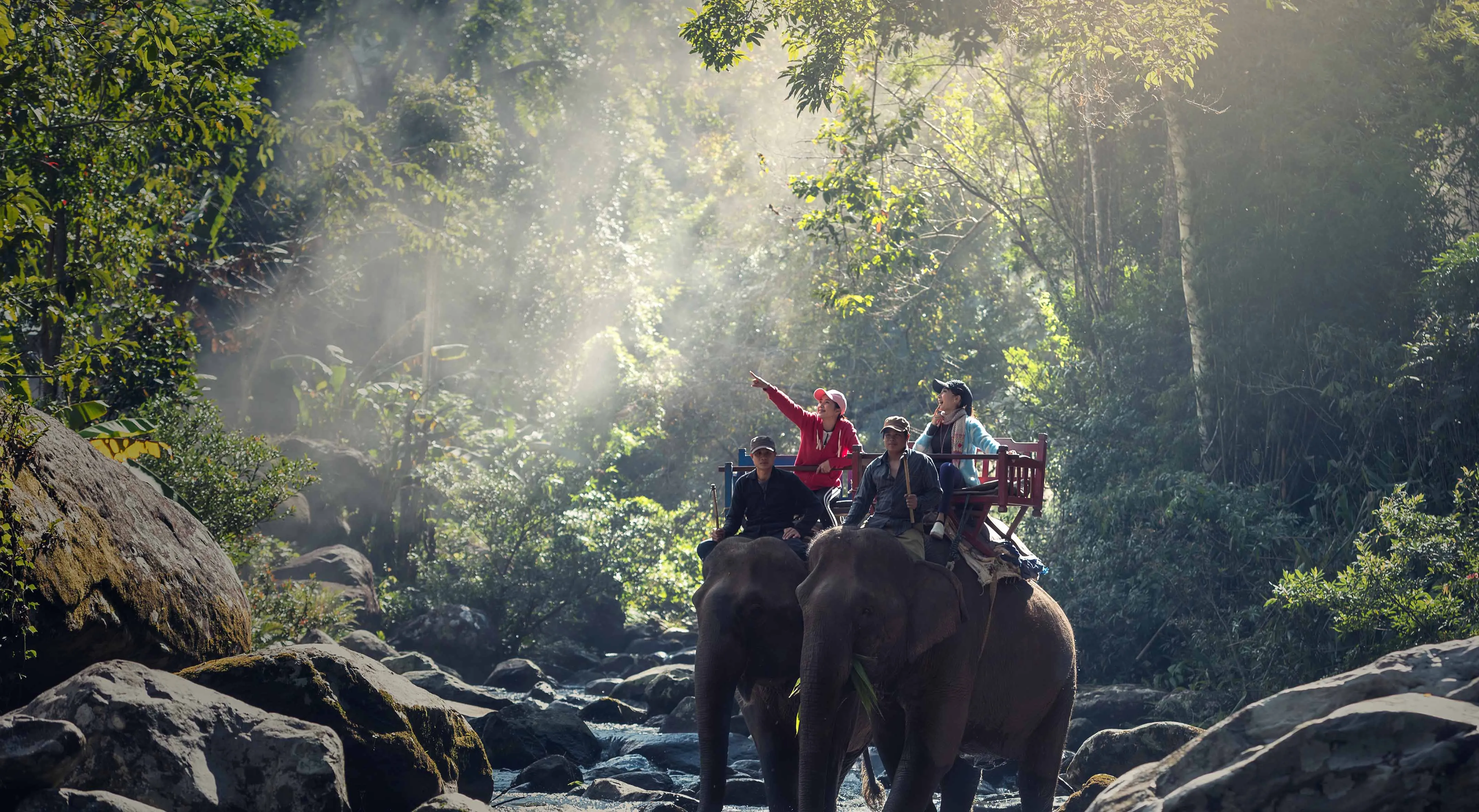 kaziranga-national-park